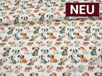 Baumwolle Popeline Hunde Oeko-Tex® 
