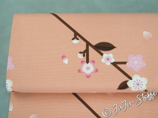 Canvas Sakura Kirschblüten pfirsich 