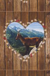 Canvas Panel Steinbock, 3 Motive 