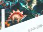 morepic-2