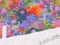 morepic-2